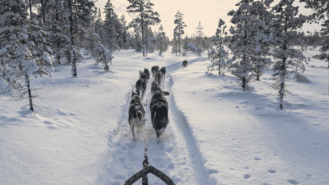 Packliste Schweden