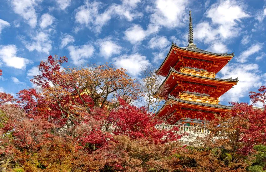 Blick auf einen Tempel in Japan mit bunten Herbstbäumen davor.