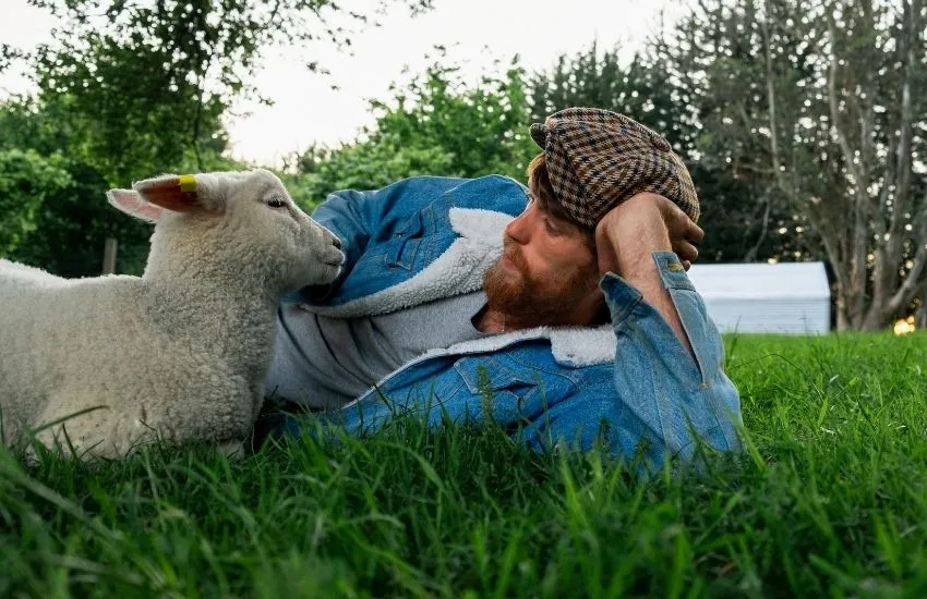 Ein Mann liegt mit einem Schaf auf der Wiese.