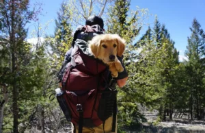 Work-and-travel packing list