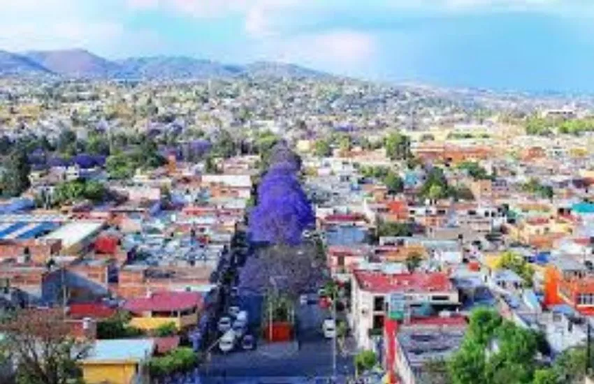 Aussichtspunkt in Tlaxcala mit Blick auf die Straße mit den violetten Bäumen.