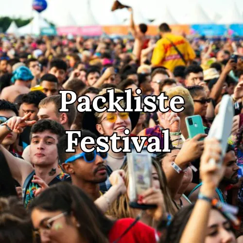 Packliste-festival