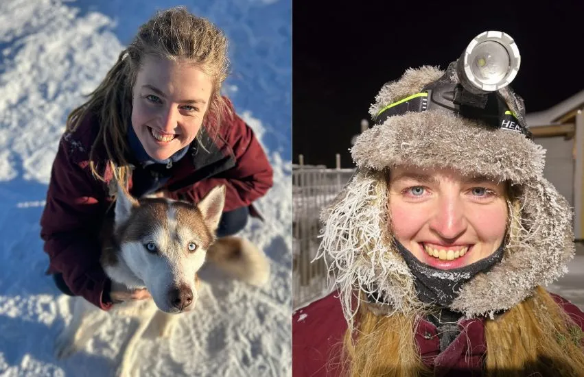 husky-arbeit-schweden