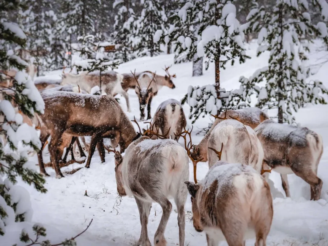 packliste-winterurlaub